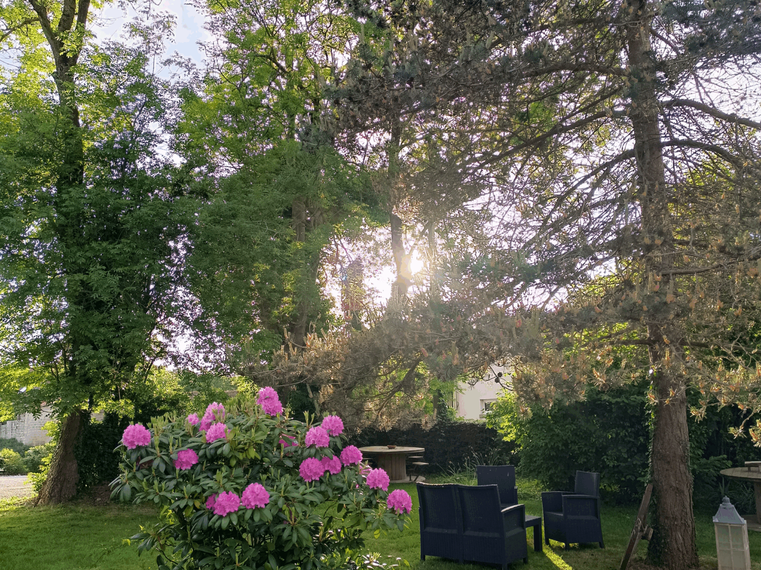 jardin