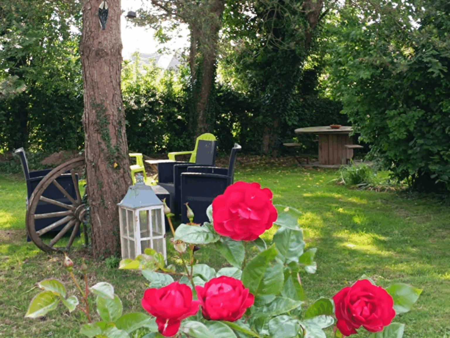 jardin 2